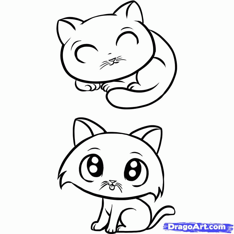 781x781 Siamese Cat Cartoon Many Interesting Cliparts