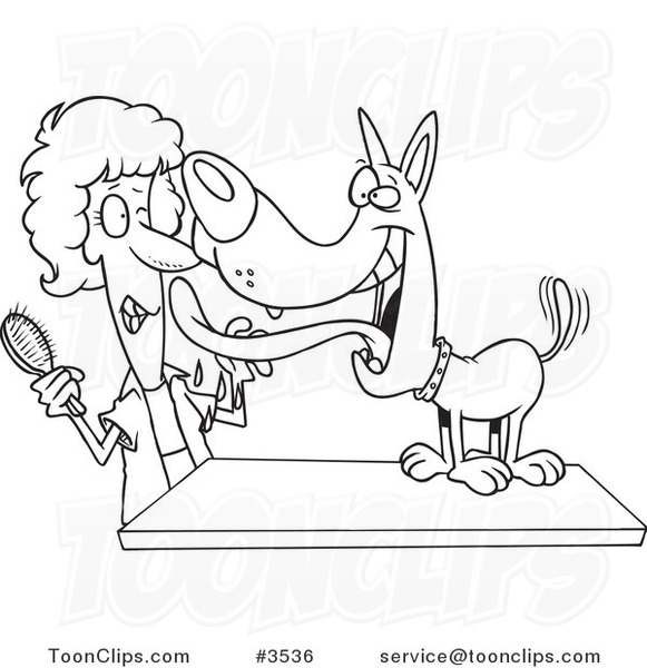 581x600 Cartoon Black And White Line Drawing Of A Dog Licking His Groomer