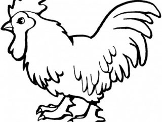 Cartoon Drawing Of A Farm