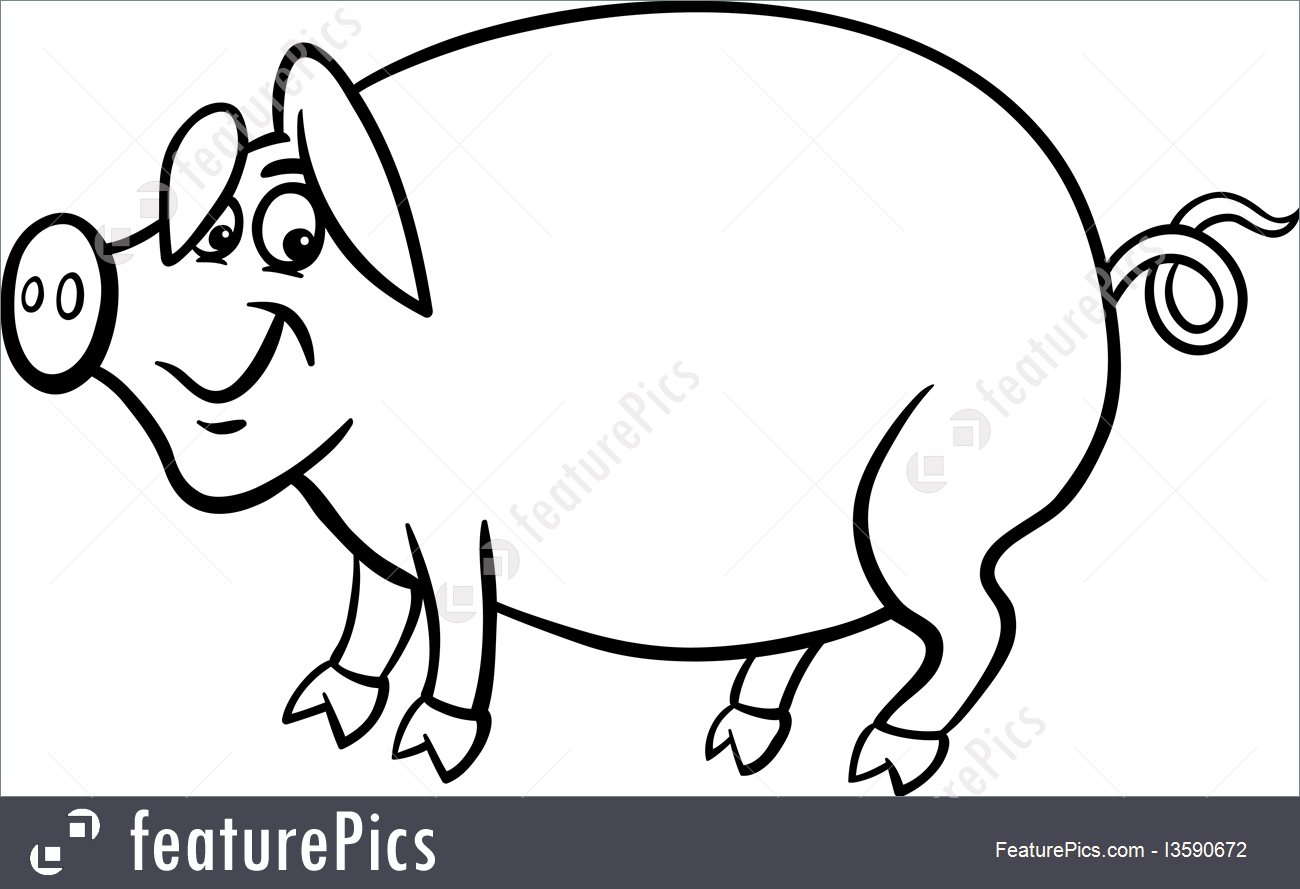 1300x889 Farm Pig Cartoon For Coloring Book Illustration