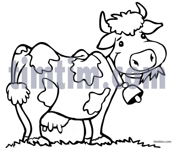 571x485 Free Drawing Of A Cow Bw From The Category Farm Animals Amp Ranch