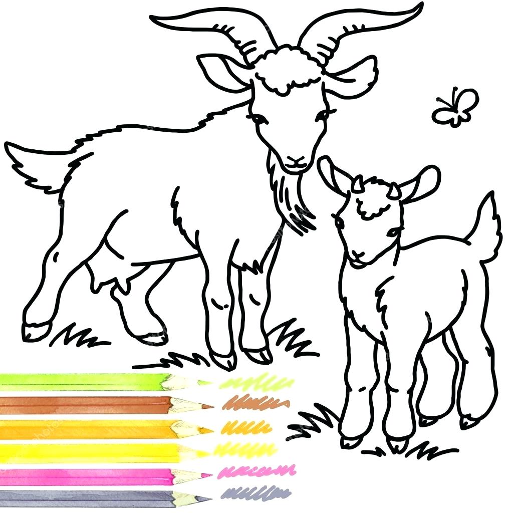 1024x1024 Coloring Goat Coloring Pictures Book Outline Drawing Cartoon Farm