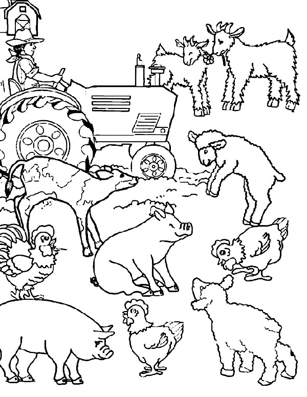 600x776 Cartoon Farm Animal Coloring Page Clip And Color Part Two