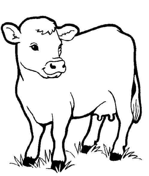 498x586 Cartoon Farm Animal Coloring Pages For Kids Gtgt Disney Coloring