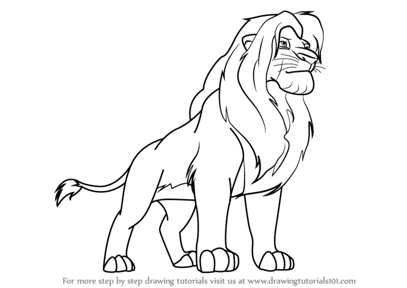 800x566 Learn How To Draw Simba From The Lion King (The Lion King) Step By