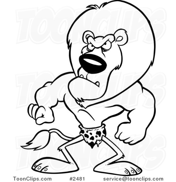 581x600 Cartoon Black And White Line Drawing Of A Jungle King Lion