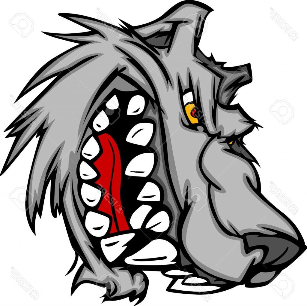 1024x1018 Top 10 Cartoon Vector Image Of Wolf Mascot Head Snarling Drawing