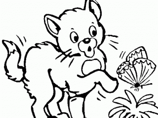 320x240 Drawing For Colouring Animals Coloring Drawing Cat Butterfly