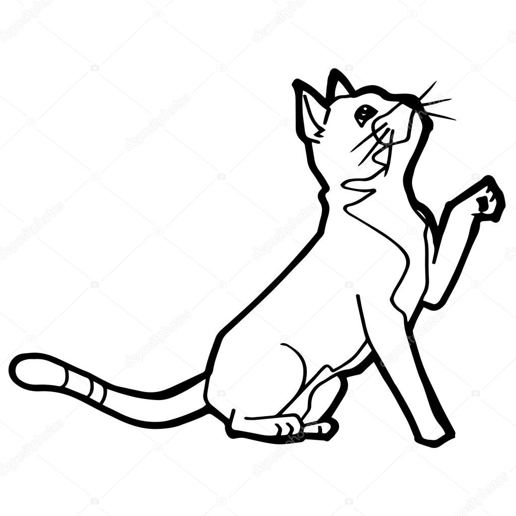1024x1024 Cartoon Cat Coloring Page For Kid Isolated On White Stock Vector