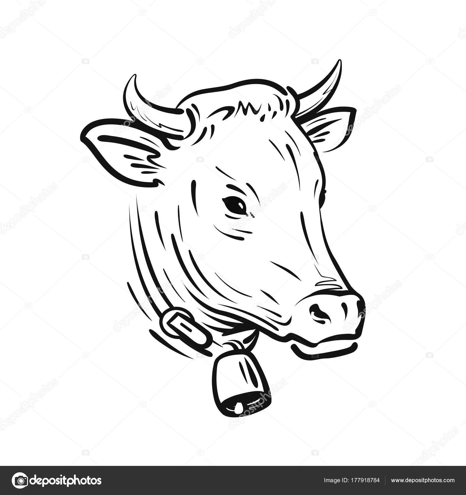 Cartoon Drawing Of Cow at GetDrawings | Free download