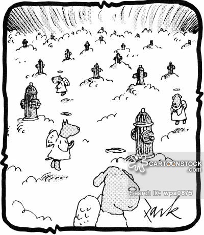 400x460 Dog Heaven Cartoons And Comics