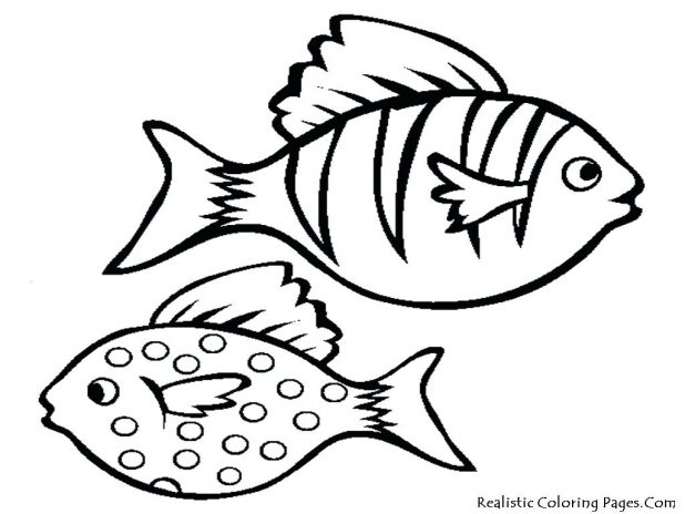 Cartoon Drawing Of Fish