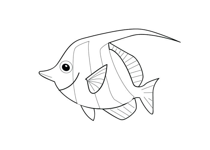 700x500 Cartoon Fish Coloring Pages Fish Coloring Books Plus Fish Color