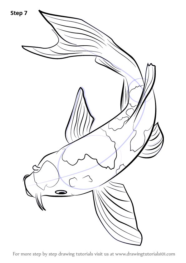 596x842 Drawn Koi Cartoon