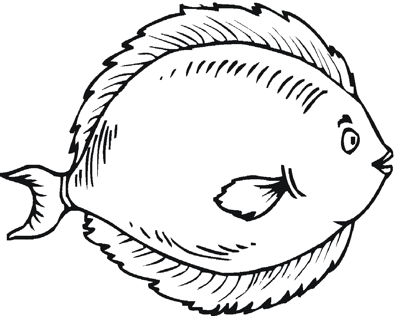 1280x1024 Adult Fish To Draw Cool Fish To Draw. Fish To Draw For Kids. Fish