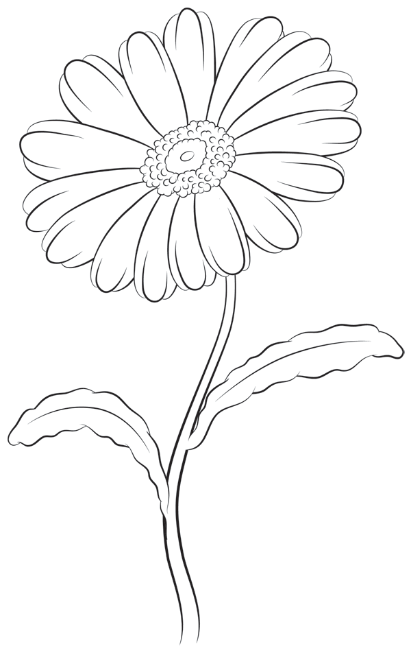600x952 How To Draw A Daisy Step By Step