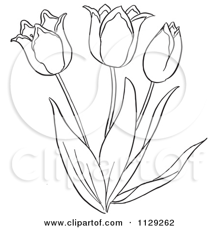 450x470 Cartoon Clipart Of An Outlined Tulip Flower Plant