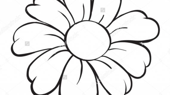 570x320 Sketch Of Flowers How To Draw A Rose Flower Sketch A Rose Flower