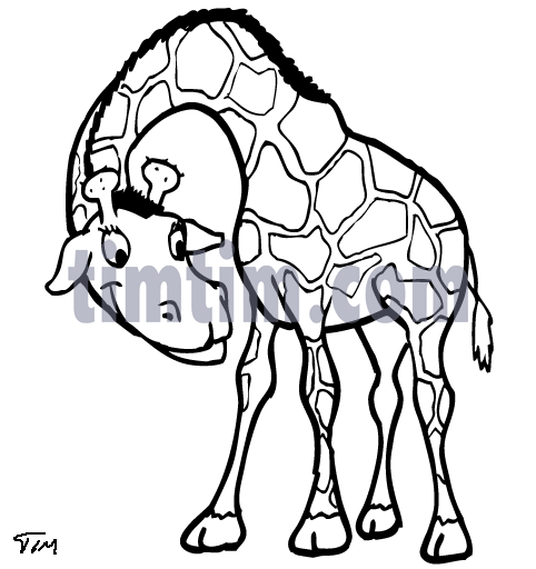 482x512 Free Drawing Of Giraffe Bw From The Category Wild Animals