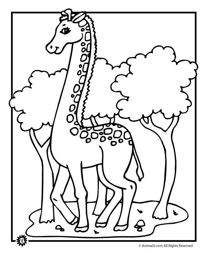 680x880 Giraffe Coloring Pages, Animal Coloring Pages Animal Jr.