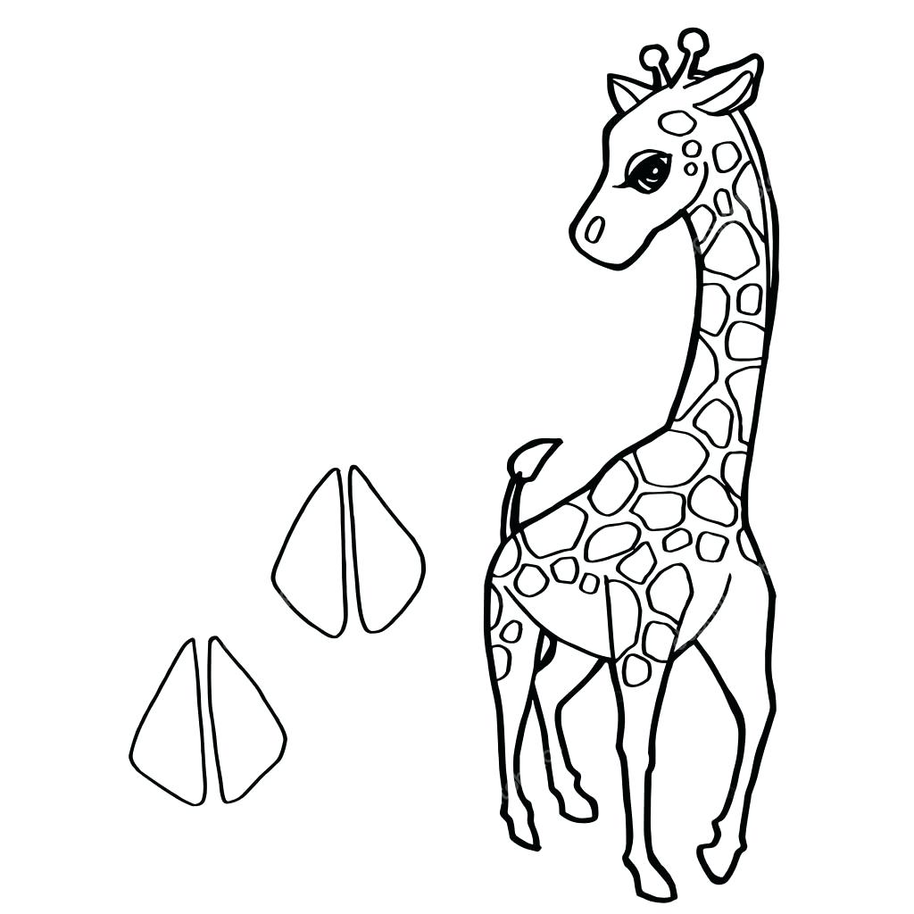 1024x1024 Coloring Coloring Pages Giraffe Page Picture Cute Of Giraffes