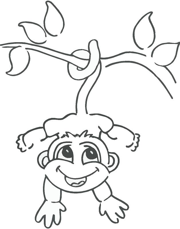 628x798 How To Draw A Monkey A Vine 36 Best Monkeys Images