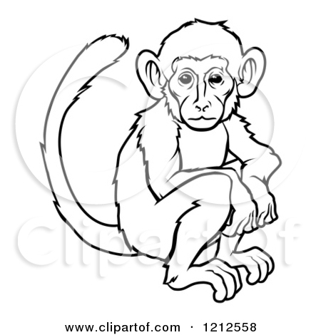 450x470 Of Monkey Outline Drawing