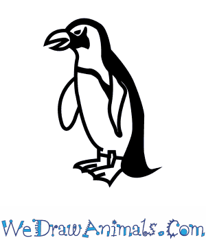 300x350 How To Draw An African Penguin