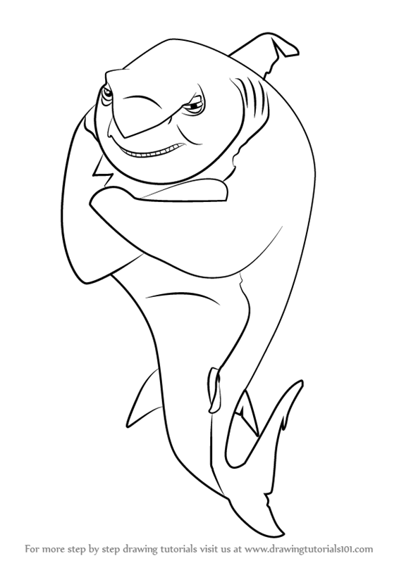 566x800 Shark Line Art Drawings