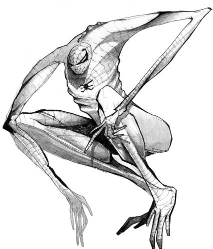 426x499 Photo Graphimata Spiderman Cartoon Wallpaper