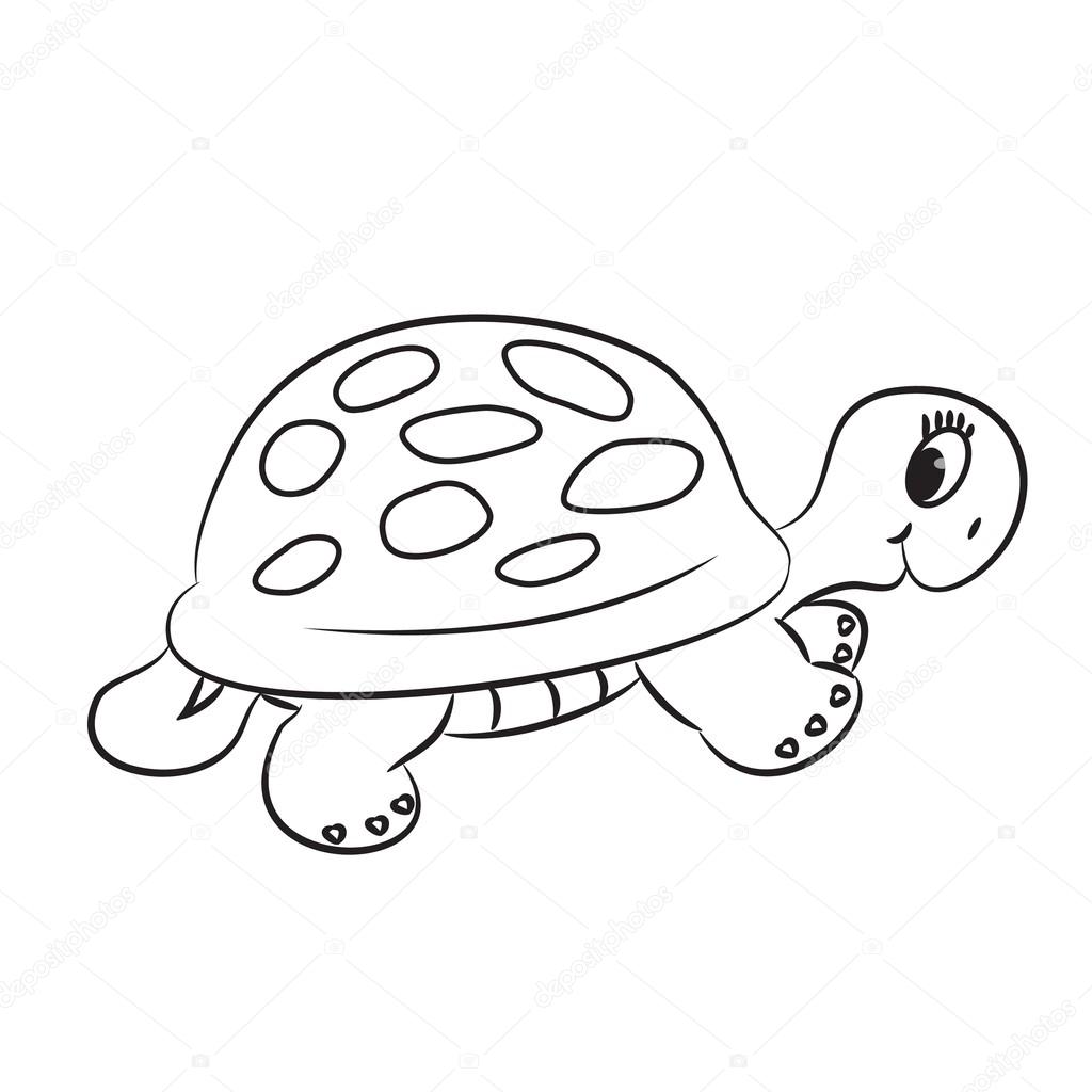 1024x1024 Cartoon Turtle Stock Vector Arnica83