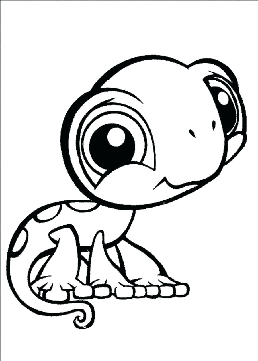 900x1261 Coloring Pages Impressive Cartoon Turtle Coloring Pages Cartoon