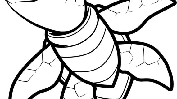 570x320 Cartoon Turtle Drawing How To Draw A Sea Turtle, Cartoon Sea