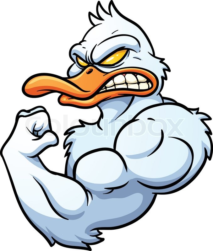 678x800 Strong Cartoon Duck Mascot. Vector Illustration With Simple