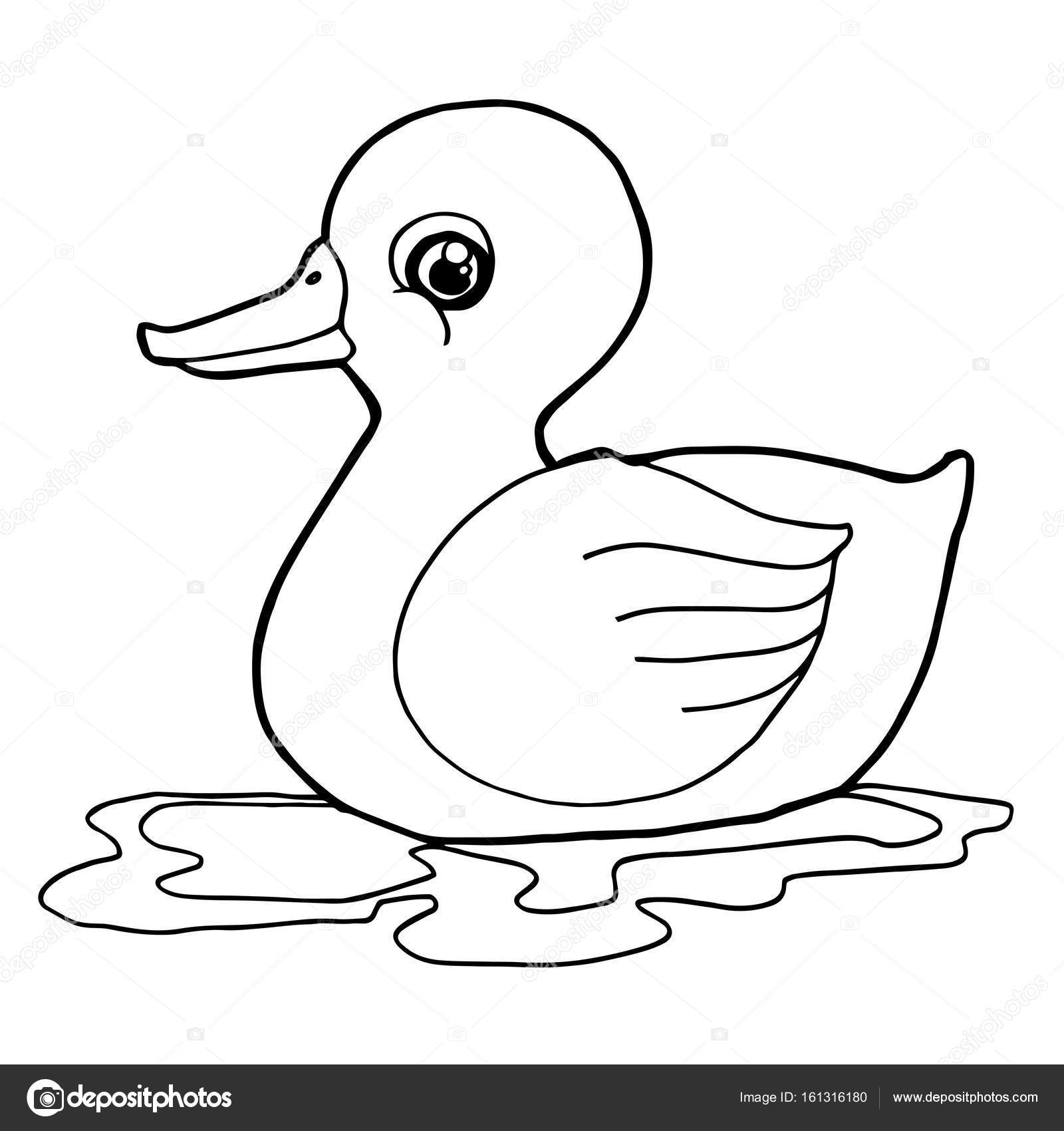 1600x1700 Cartoon Cute Duck Coloring Page Vector. Stock Vector