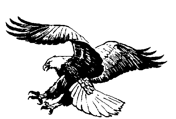 605x410 Black Eagle Clipart Cartoon