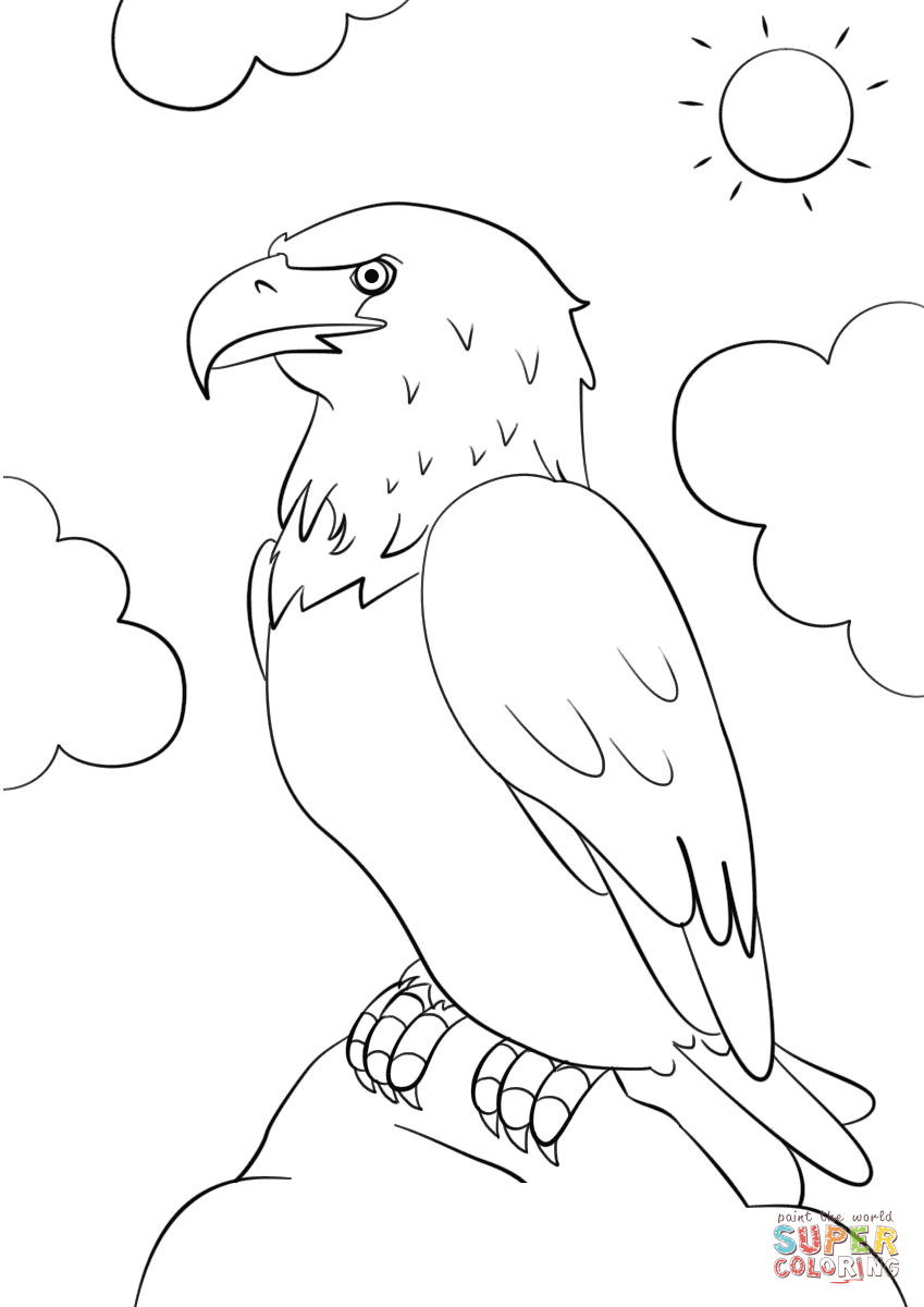 849x1200 Cartoon Eagle Drawing