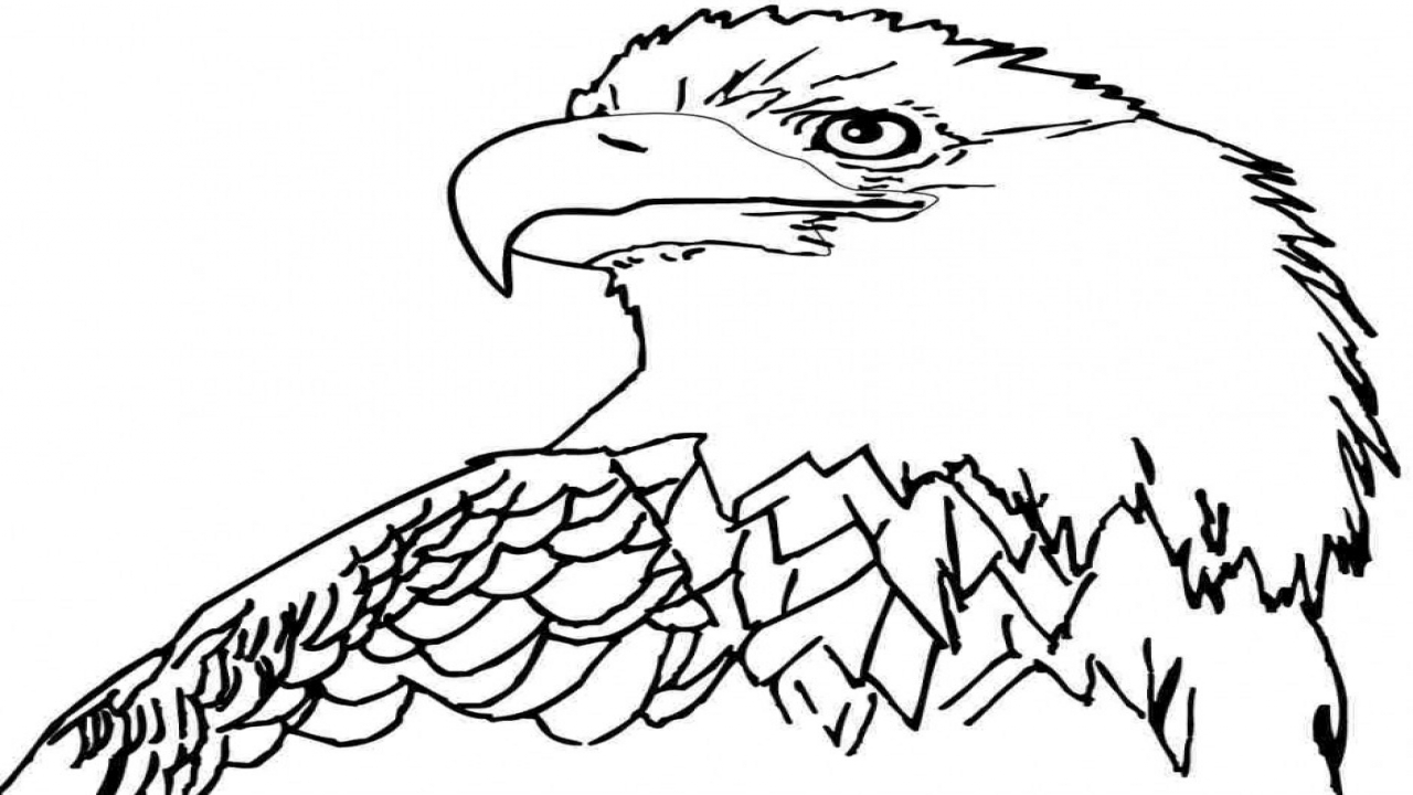 1280x720 Bald Dad Coloring Cartoon Eagle Clip Art