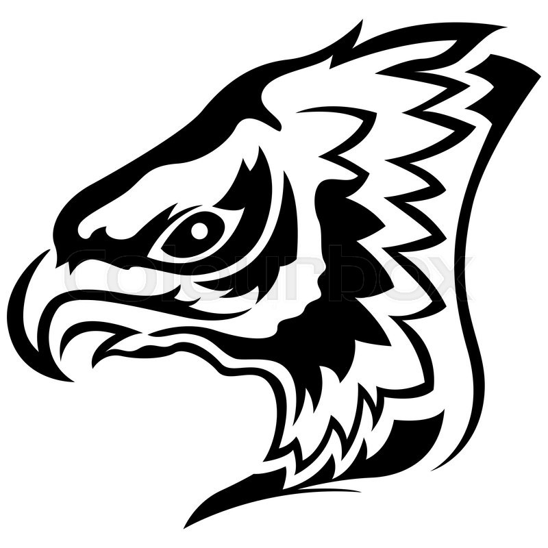 800x800 Head Of Menacing Eagle, Side View Cartoon Outline Stock Photo
