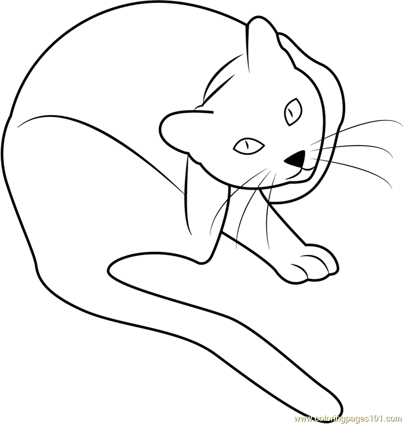 800x842 Cat Scratching His Ear Coloring Page