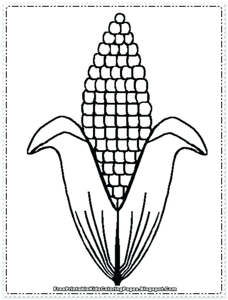 778x1024 Diagram Corn Anatomy Diagram