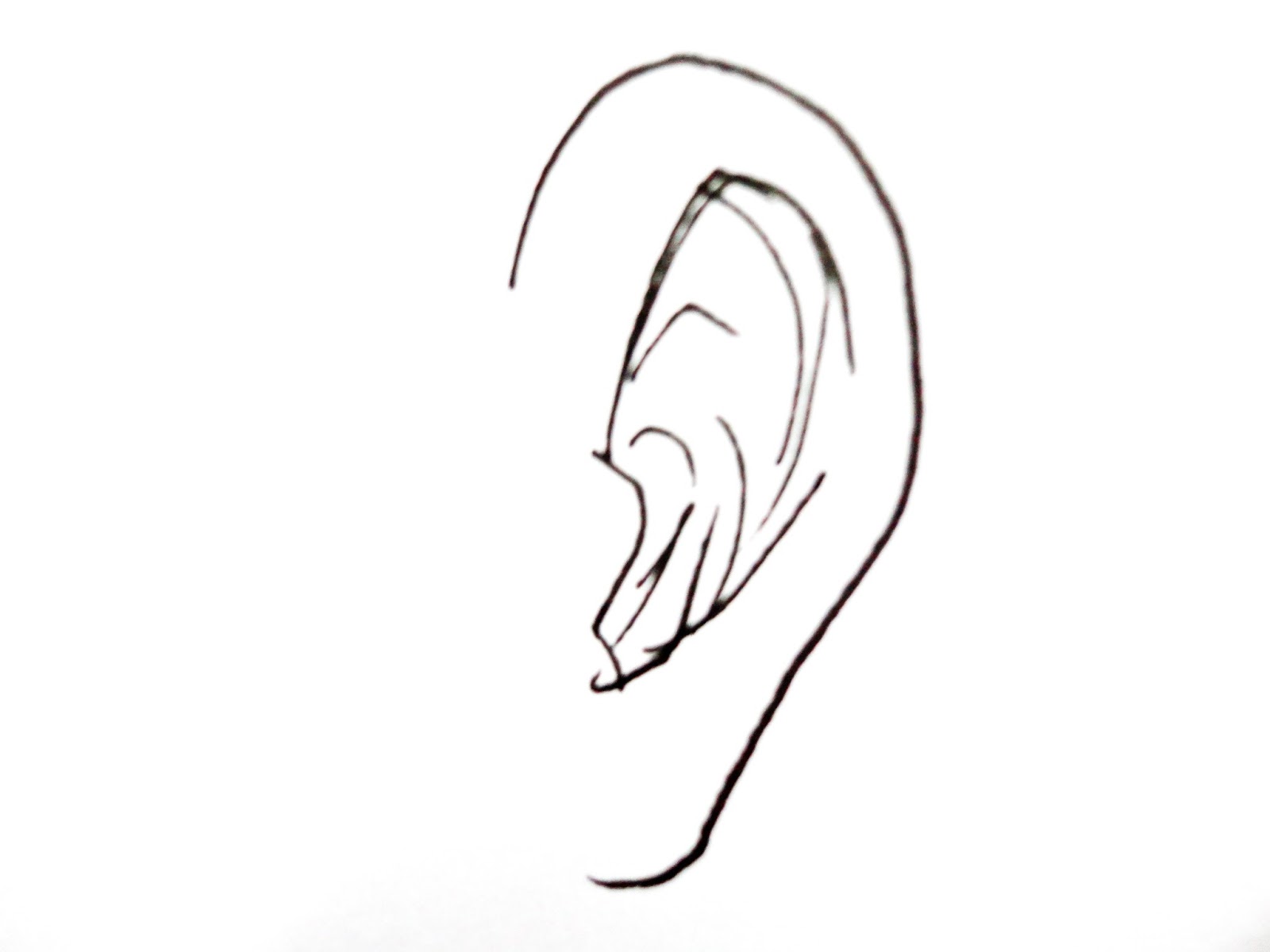 1600x1200 Cartoon Party Drawing Face !!