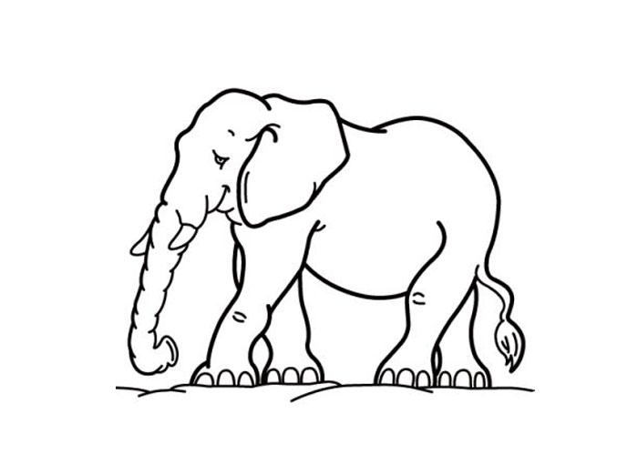 700x500 Cartoon Elephant Coloring Pages Bebo Pandco