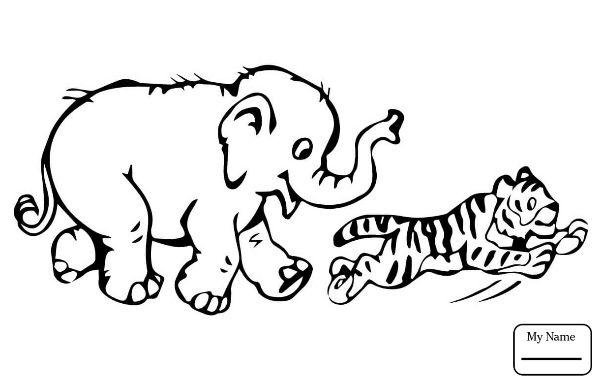 1224x778 Cute Cartoon Elephant Mammals Coloring Pages For Kids