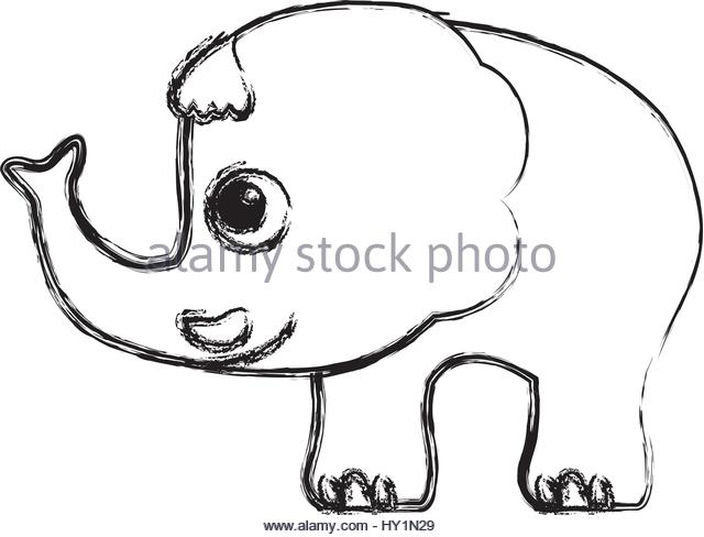 640x488 Drawing Of An Elephant Stock Photos Amp Drawing Of An Elephant Stock