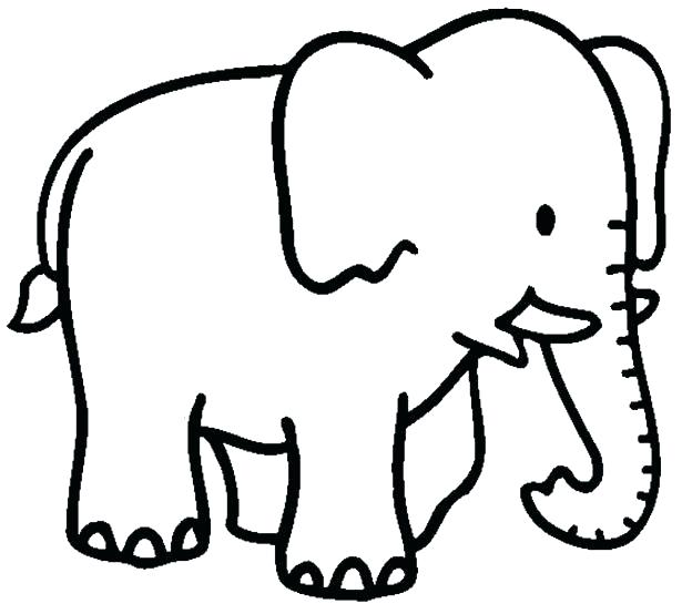 615x554 Elephant Coloring Book Together With Drawing Elephant For Coloring
