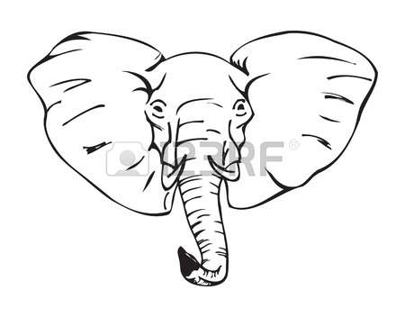 450x352 Elephant Head Stock Photos. Royalty Free Business Images