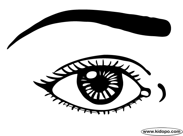 630x470 Eye Coloring Pages