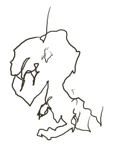 386x500 Draw Dinosaurs With Your Feet!