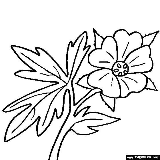 560x560 Flower Coloring Pages Color Flowers Online Page 1